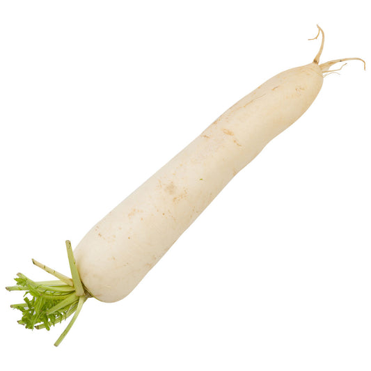 Radish/Muli 1pc