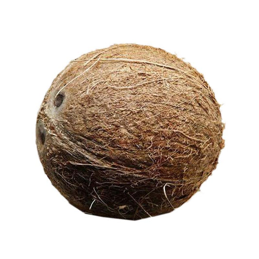 Coconut (Single)