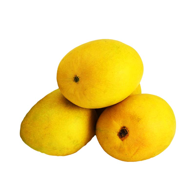 Kesar mangoes Jumbo - 12 pieces