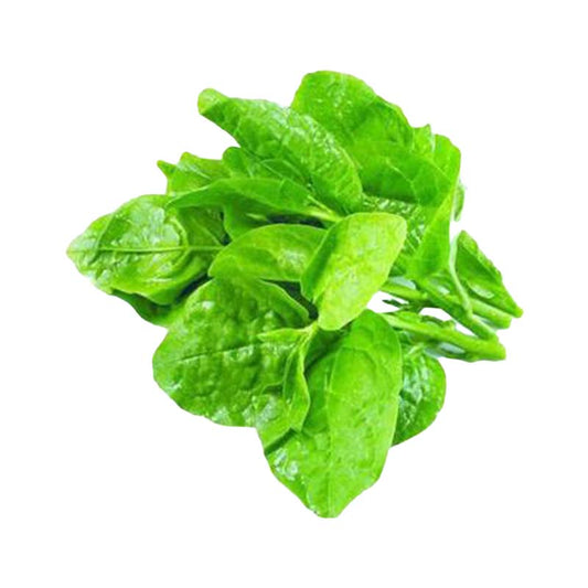 Fresh Spinach