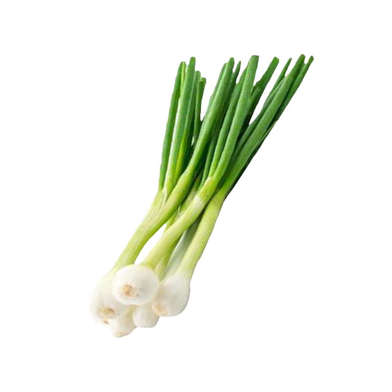 Spring Onion (Bunch)