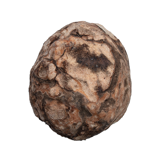 Elephant Foot Yam 1kg